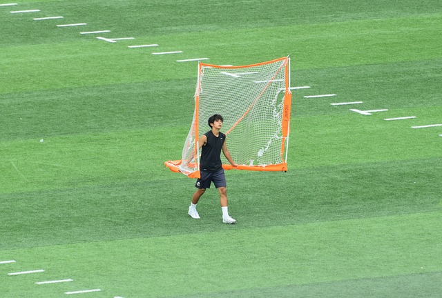 佼佼者