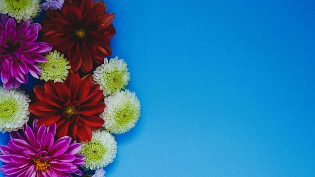 客场对阵巴 客场对阵巴