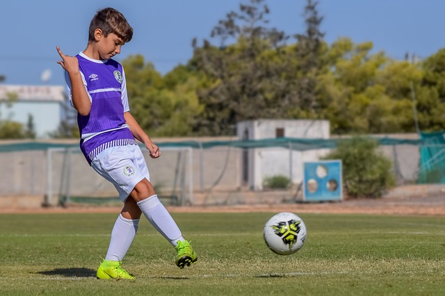 关税减免 关税减免