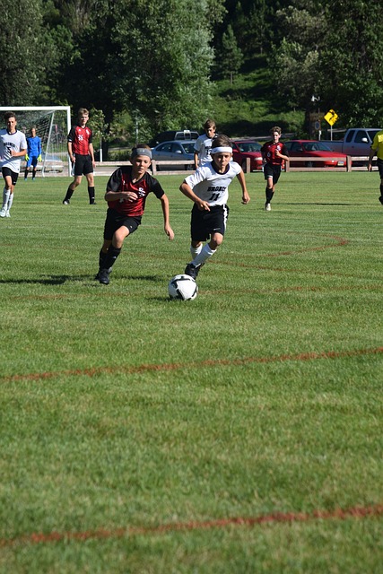 赛场中证明 赛场中证明