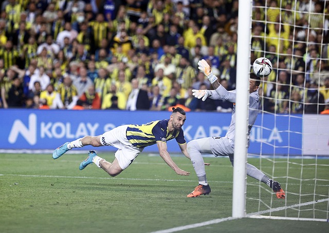 稳定的心态 稳定的心态