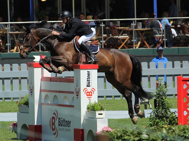 英雄与危机 英雄与危机