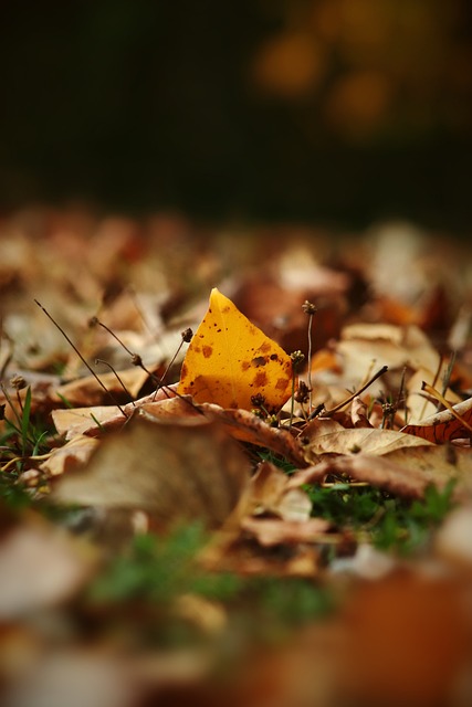 像是若昂 像是若昂