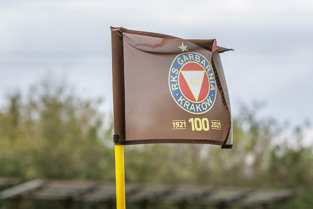 改变以及线 改变以及线